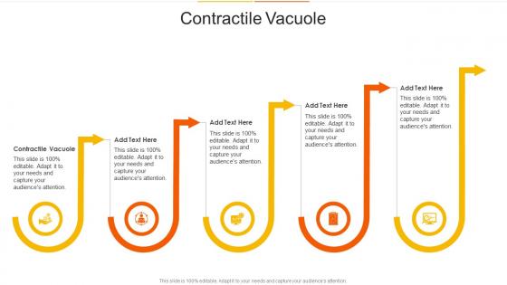Contractile Vacuole In Powerpoint And Google Slides Cpb Contractile Vacuole In Powerpoint And Google Slides Cpb