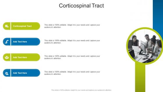 Corticospinal Tract In Powerpoint And Google Slides Cpb Corticospinal Tract In Powerpoint And Google Slides Cpb