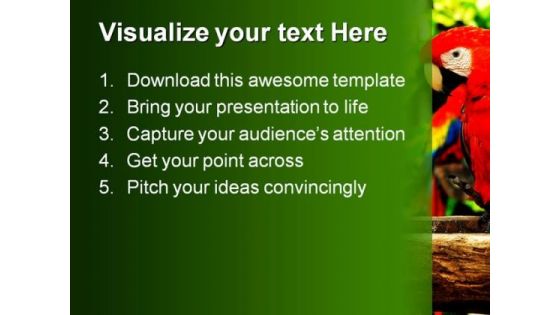 Couple Of Parrots Nature PowerPoint Themes And PowerPoint Slides 0211