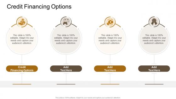 Credit Financing Options In Powerpoint And Google Slides Cpb