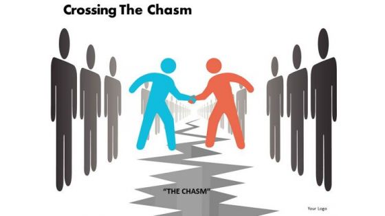 Crossing The Chasm Ppt 12