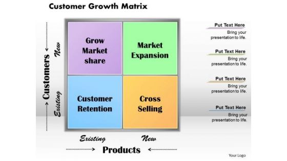 Customer Growth Matrix Business PowerPoint Presentation