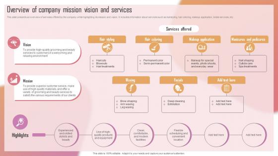Customizing The Salon Experience Overview Of Company Mission Vision And Services Strategy SS V