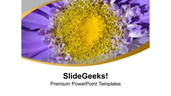 Daheliya Flower Background Bright Color Theme PowerPoint Templates Ppt Backgrounds For Slides 0513