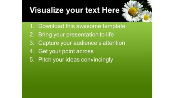 Daisy The Beauty Of Nature PowerPoint Templates Ppt Backgrounds For Slides 0613