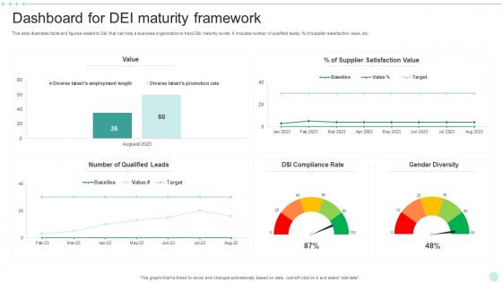 Dashboard For DEI Maturity Framework Icons Pdf Dashboard For DEI Maturity Framework Icons Pdf