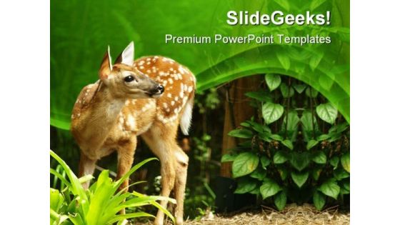 Deer Animals PowerPoint Themes And PowerPoint Slides 0411