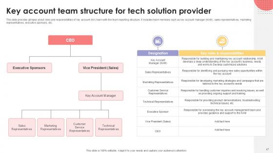 Detailed Business Account Management Techniques PPT Slides Strategy CD V