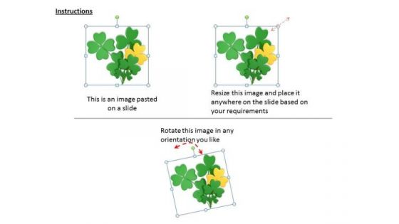 Develop Business Strategy 3d Image Of Lucky Clover Photos
