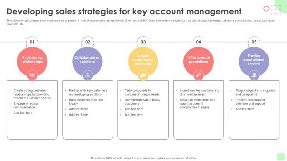 Developing Sales Strategies Detailed Business Account PPT PowerPoint Strategy SS V