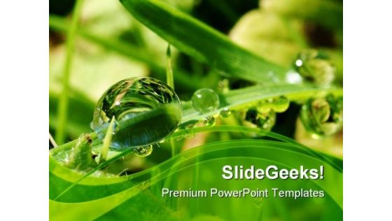 Dew Drops On Leaves Nature PowerPoint Themes And PowerPoint Slides 0411