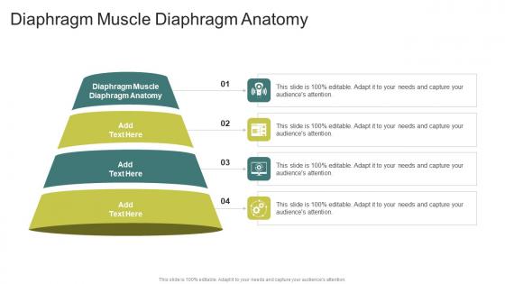 Diaphragm Muscle Diaphragm Anatomy In Powerpoint And Google Slides Cpb