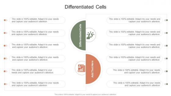 Differentiated Cells In Powerpoint And Google Slides Cpb Differentiated Cells In Powerpoint And Google Slides Cpb