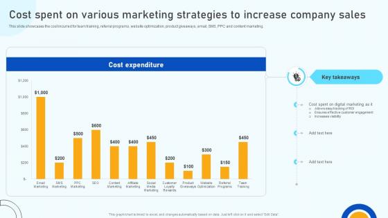 Digital Marketing Strategies Cost Spent On Various Marketing Strategies To Increase SA SS V