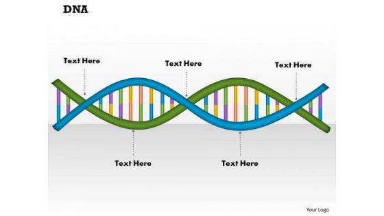 Dna PowerPoint Presentation Template