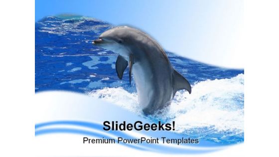 Dolphin Animals PowerPoint Template 0910