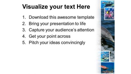 Dolphin Animals PowerPoint Templates And PowerPoint Themes 0512
