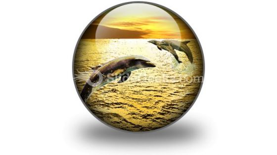 Dolphins PowerPoint Icon C