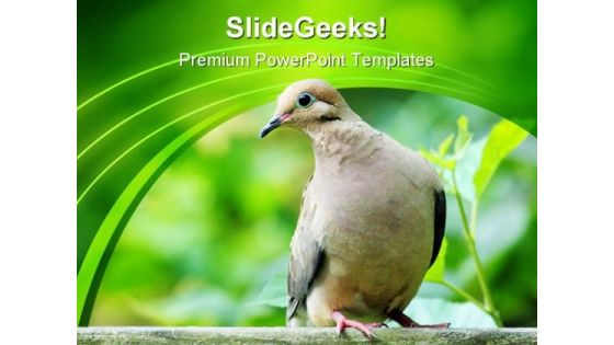 Dove Zenaida Animals PowerPoint Templates And PowerPoint Backgrounds 0111