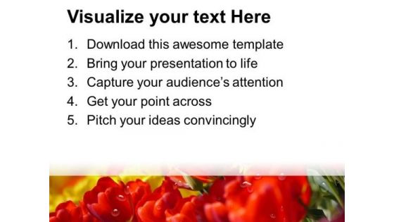 Due Drops On Tulip Flowers PowerPoint Templates Ppt Backgrounds For Slides 0713