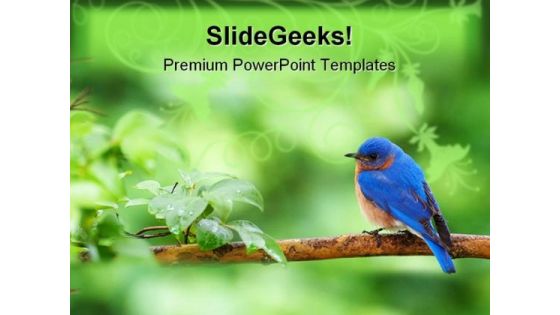 Eastern Bluebird Animals PowerPoint Templates And PowerPoint Backgrounds 0111