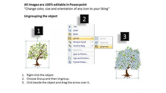 Editable Photos Family Tree PowerPoint Templates