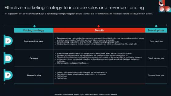 Effective Marketing Strategy To Increase Sales Cultural Travel Agency Business Plan Structure Pdf