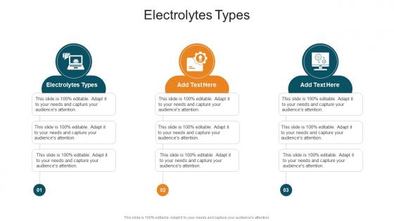 Electrolytes Types In Powerpoint And Google Slides Cpb Electrolytes Types In Powerpoint And Google Slides Cpb