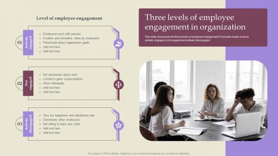 Employee Involvement Tactics Three Levels Of Employee Engagement In Organization Professional Pdf