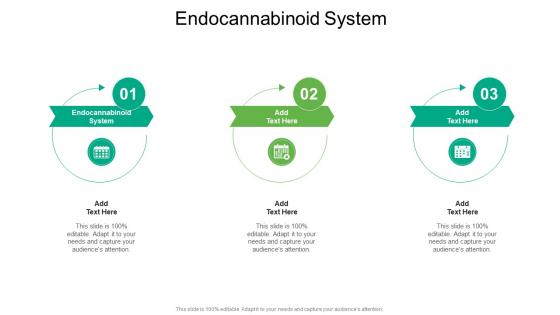 Endocannabinoid System In Powerpoint And Google Slides Cpb Endocannabinoid System In Powerpoint And Google Slides Cpb