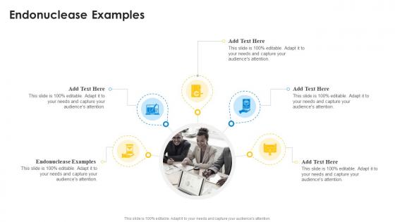 Endonuclease Examples In Powerpoint And Google Slides Cpb Endonuclease Examples In Powerpoint And Google Slides Cpb