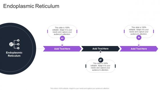 Endoplasmic Reticulum In Powerpoint And Google Slides Cpb