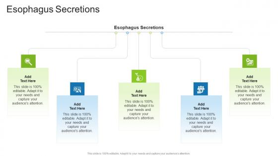 Esophagus Secretions In Powerpoint And Google Slides Cpb Esophagus Secretions In Powerpoint And Google Slides Cpb