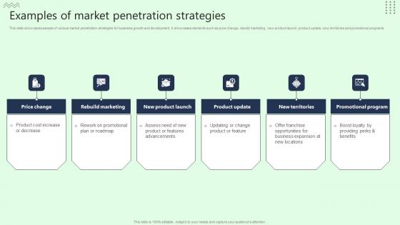 Examples Of Market Penetration Strategies Structure Pdf