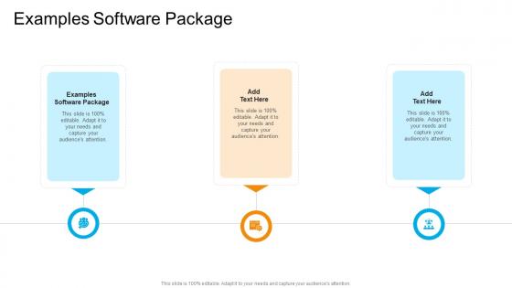 Examples Software Package In Powerpoint And Google Slides Cpb