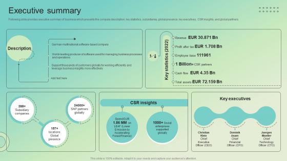 Executive Summary Enterprise Software Solution Providing Company Profile CP SS V