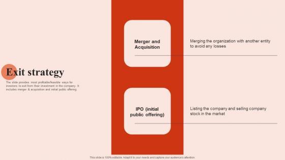 Exit Strategy Beauty Brands And Retailers Company Fund Raising Sample PDF