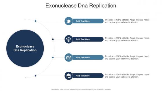 Exonuclease Dna Replication In Powerpoint And Google Slides Cpb
