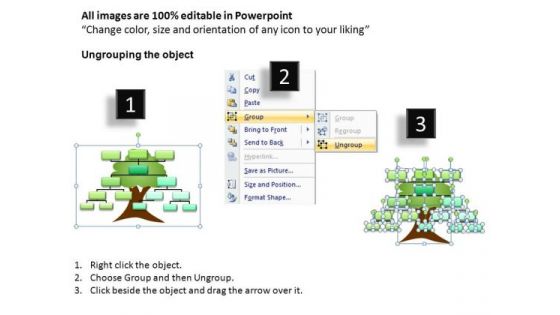 Family Tree Diagram PowerPoint Slides Download