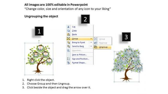 Family Tree With Replaceable Photos PowerPoint Templates