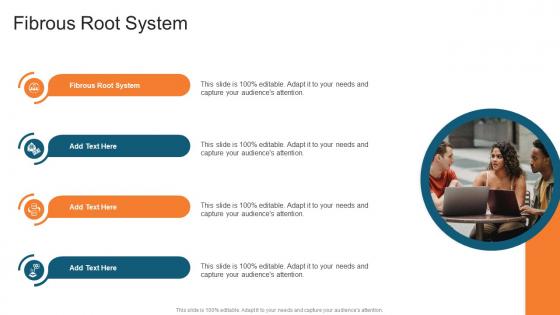Fibrous Root System In Powerpoint And Google Slides Cpb