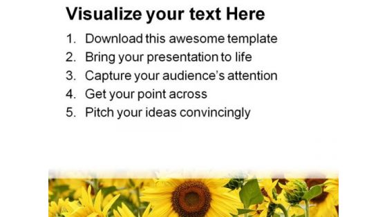Field Of Sunflowers Beauty PowerPoint Themes And PowerPoint Slides 0311