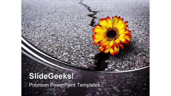 Flower In Asphalt Metaphor PowerPoint Themes And PowerPoint Slides 0611
