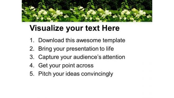 Flowers In Garden Nature PowerPoint Templates Ppt Backgrounds For Slides 0513