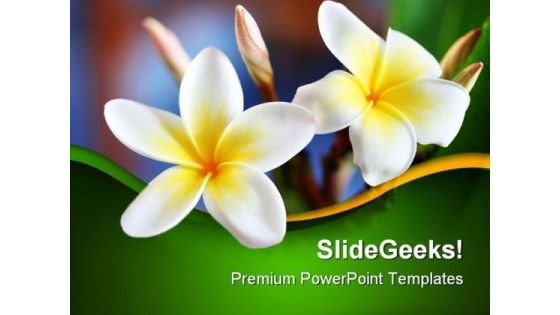 Frangipani Flower Beauty PowerPoint Templates And PowerPoint Backgrounds 0311