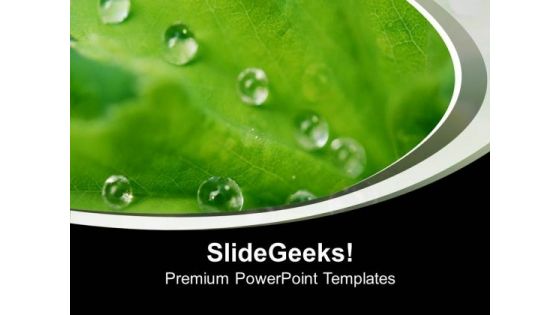 Fresh Green Leaf With Water Droplets Nature PowerPoint Templates Ppt Backgrounds For Slides 1212