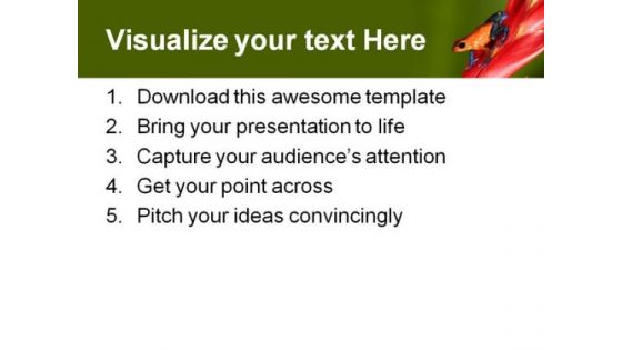 Frog Animals PowerPoint Themes And PowerPoint Slides 0811