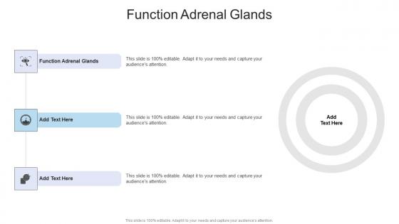Function Adrenal Glands In Powerpoint And Google Slides Cpb