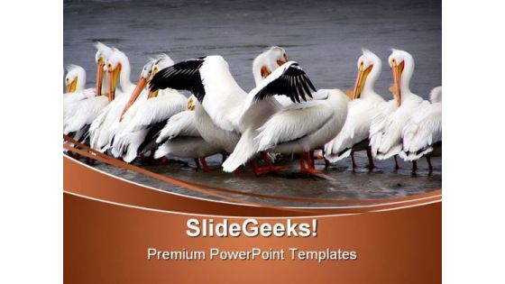 Gimme A Hug Animals PowerPoint Templates And PowerPoint Backgrounds 0511