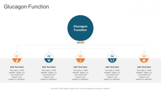 Glucagon Function In Powerpoint And Google Slides Cpb Glucagon Function In Powerpoint And Google Slides Cpb